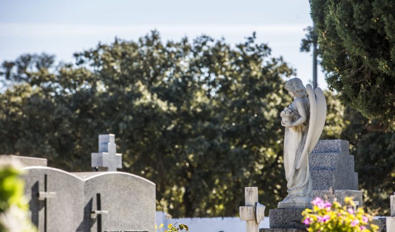 Autobuses de Las Rozas