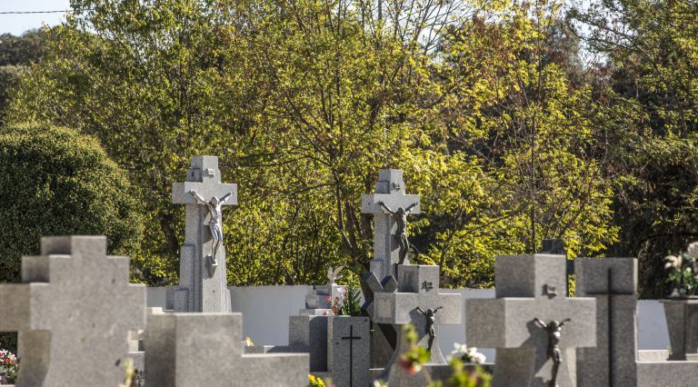 Cementerio Las Rozas