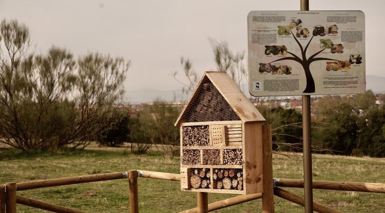Hotel de insectos