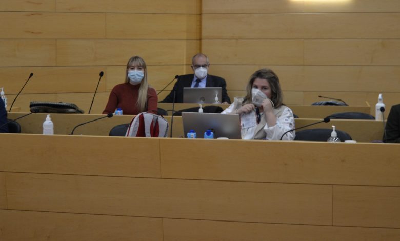 Pleno las rozas izquierda unida