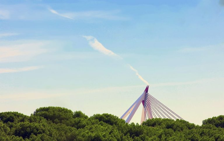 Imagen de: Ayuntamiento Las Rozas