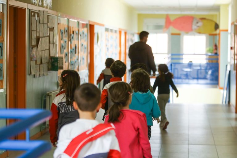 escolarización