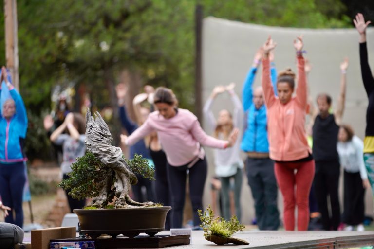 Festival de Vida Saludable