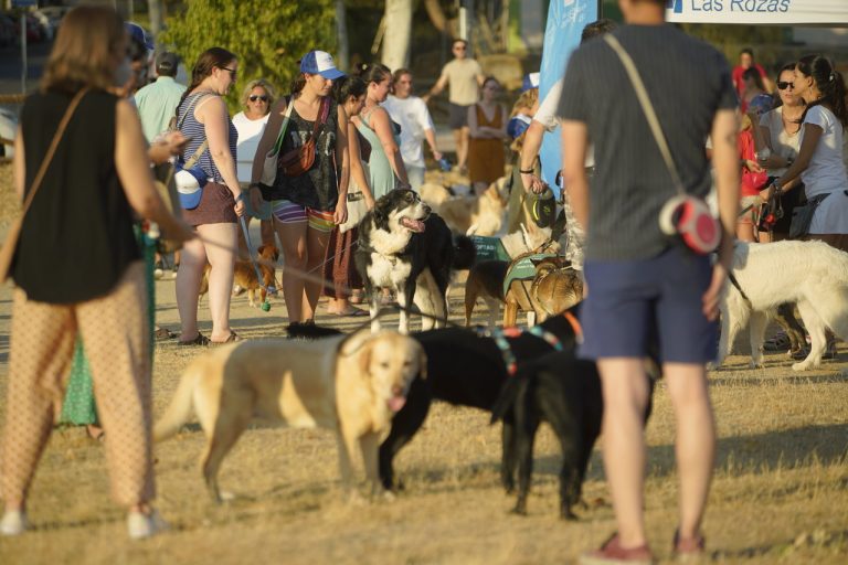 Las Rozas celebra el Día del Perro con 49 áreas caninas disponibles