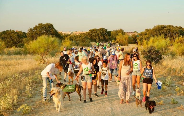 Las mejores imágenes de la Gran Quedada Perruna en Las Rozas