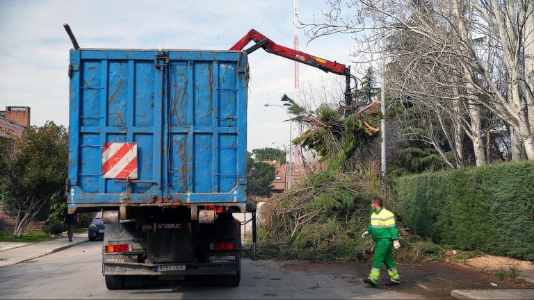 Arranca el servicio municipal gratuito para la recogida de grandes podas