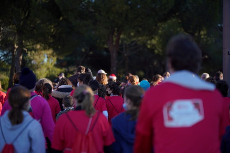 san silvestre roceña