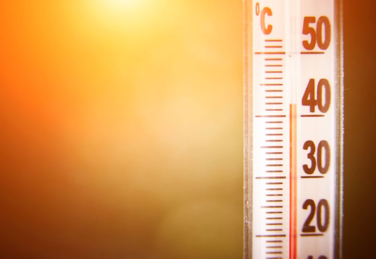 Recomendaciones ola de calor