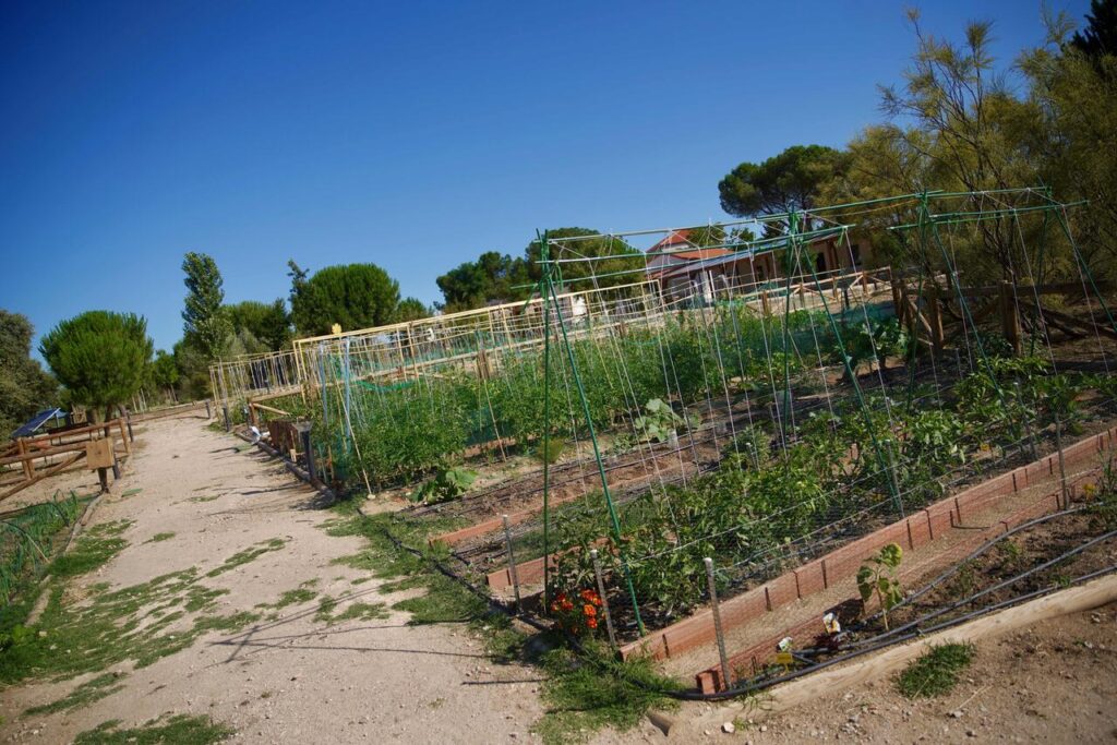 mejor ciudad ecológica