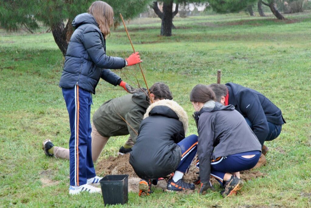 plantación de árboles en Las Rozas