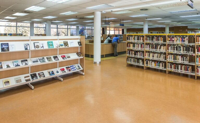 bibliotecas de Las Rozas