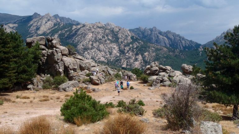 arco verde en Las Rozas