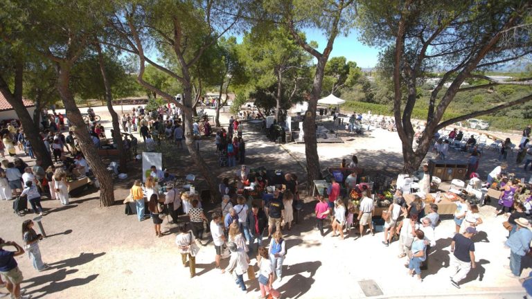 Familias participando en la Gran Plantación Familiar del Programa de Educación Ambiental de Las Rozas.
