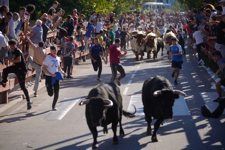 Fiestas de San Miguel 2025