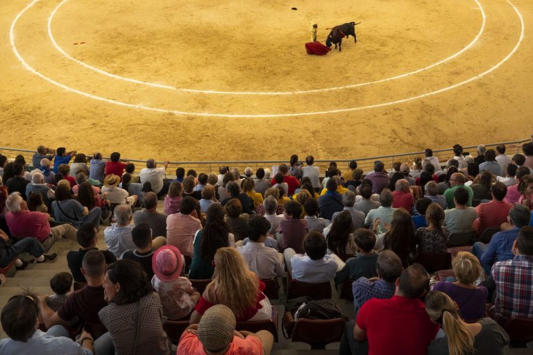 Festival de Primavera con cartel estrella y ocio para toda la familia