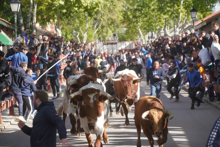 fiestas de san josé obrero
